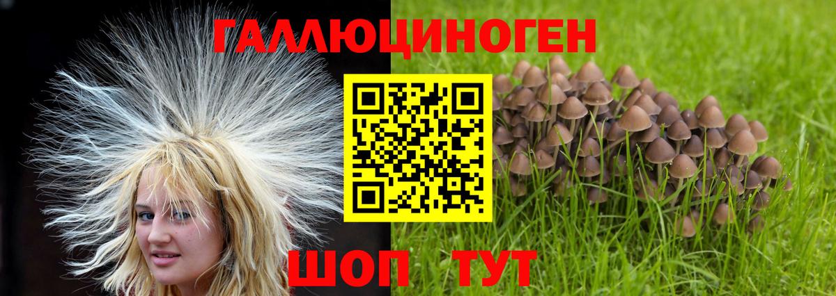 Псилоцибиновые грибы Psilocybine cubensis  Вход с VPN  купить   Зеленогорск 