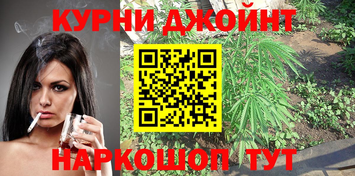 Бошки марихуана сатива  Вход с VPN  Зеленогорск  Шишки марихуана планчик  Канабис план  Канабис конопля 